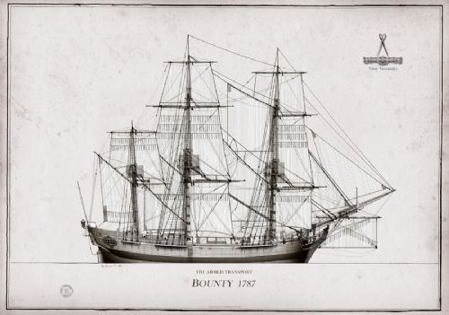 1787 HM Armed Transport Bounty pen ink study by Tony Fernandes